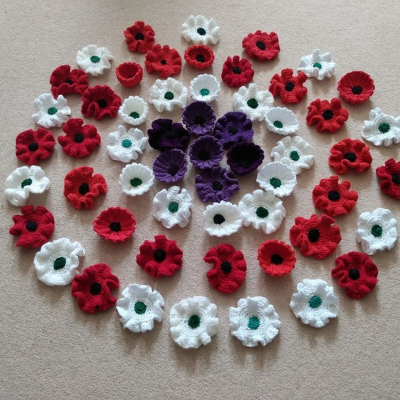 Helen's poppies