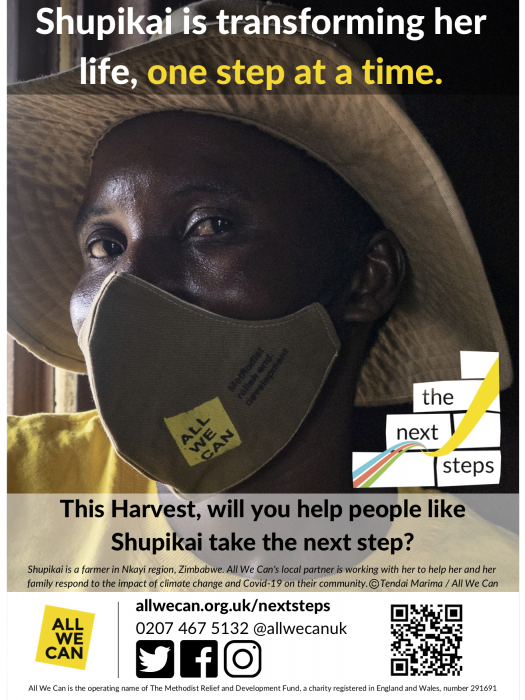 Image: 4- The Next Steps Poster - Harvest