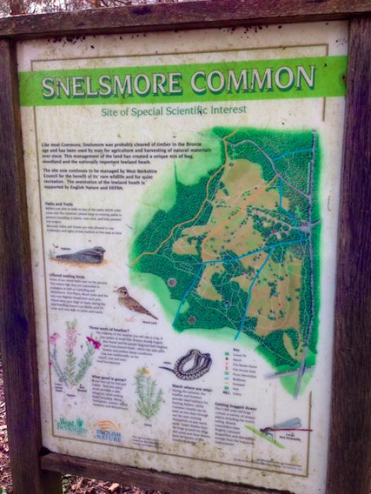 Snelsmore-Common